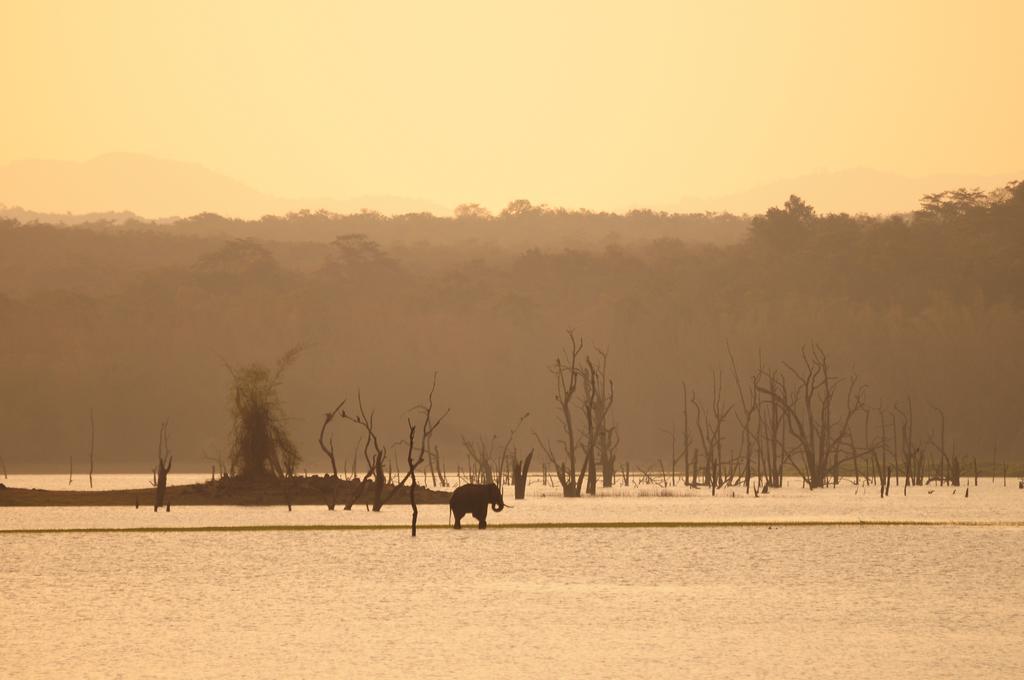 Evolve Back Kabini Begūr Dış mekan fotoğraf