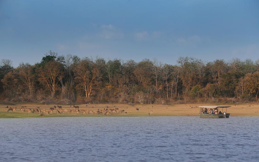Evolve Back Kabini Begūr Dış mekan fotoğraf